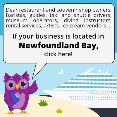 to business owners in Newfoundland Bay