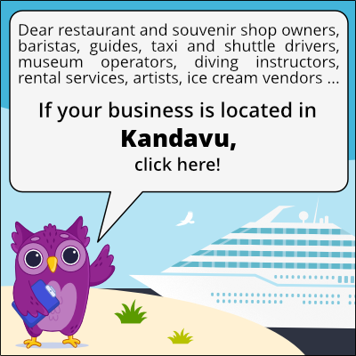 to business owners in Kandavu