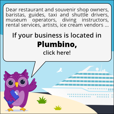 to business owners in Plumbino